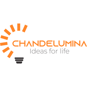 Logo Website